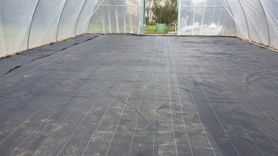 2015-05-01 01.24.35.jpg