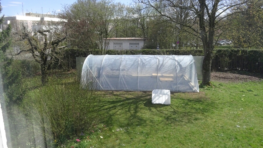 2015-05-01 01.26.58.jpg