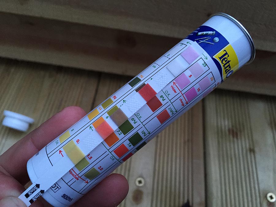 2015-05-01 20.25.36-Medium.jpg