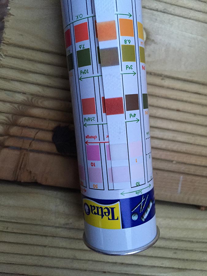 2015-05-01 20.22.46-Medium.jpg