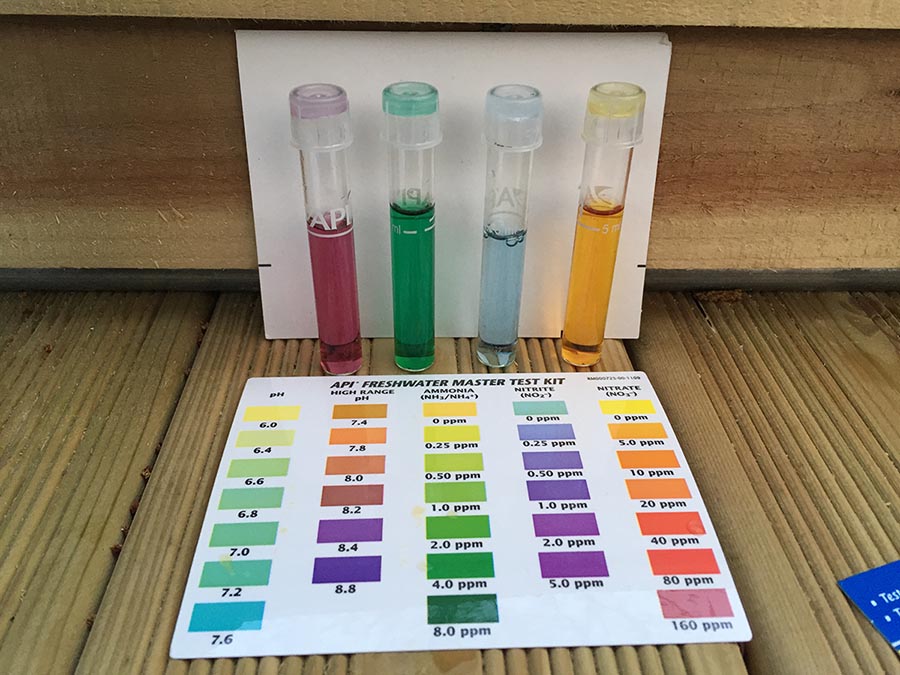 2015-05-01 20.06.54-Medium.jpg