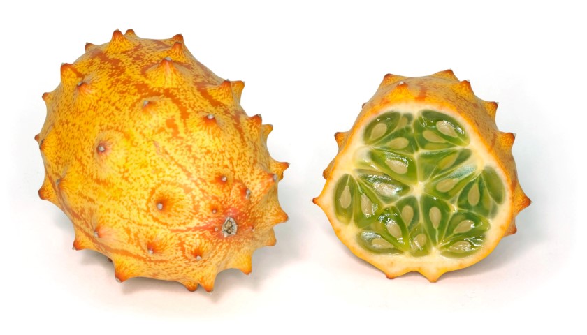 Kiwano_2009 (Small).jpg