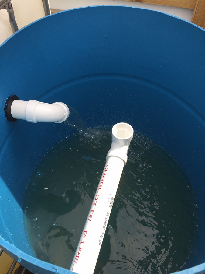 Swirl Filter Filling 1.png