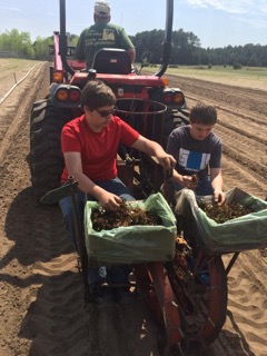 Justyce Shawn and Hunter Transplanting.jpeg
