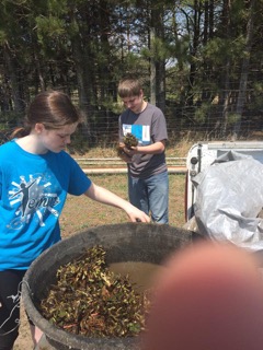 Hunter and Heaven Trimming Plants.jpeg