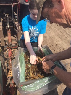 Heaven Trimming Plant Roots.jpeg
