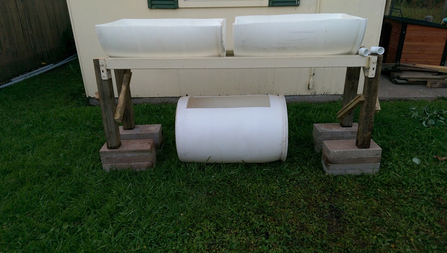 Now on Blocks (resized).jpg