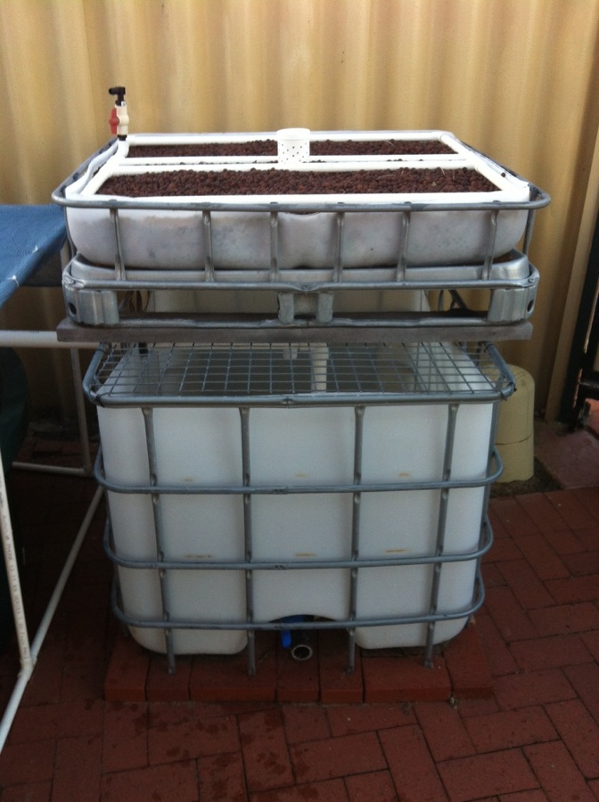 aquaponics.jpg