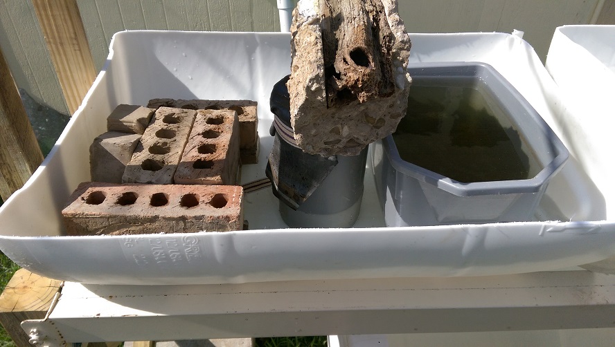 TestSiphon (Resized).jpg