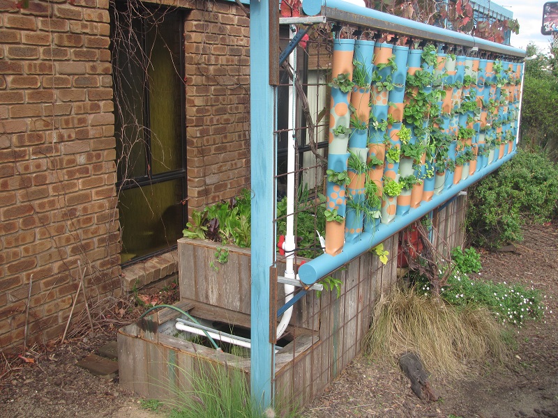 May 10 - good growth in towers and GBs.jpg