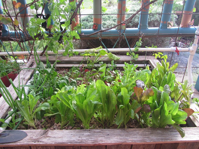 May 10 - main GB.jpg