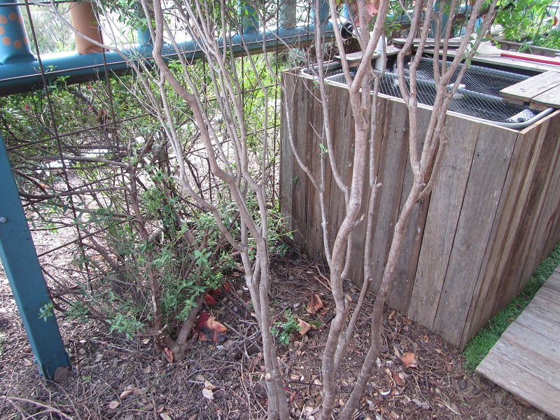 May 10 - next job - build a weatherproof cabinet to house battery back up air pump and monitoring equipment.jpg