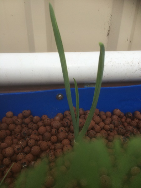 IMG_2224 resized.jpg