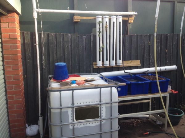 IMG_4023 (600 x 450).jpg