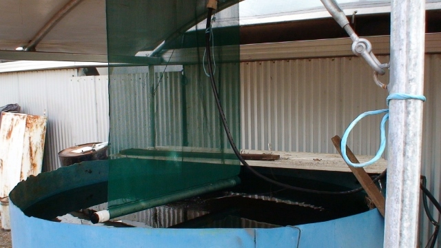shade cloth above tank 1 (640x360).jpg