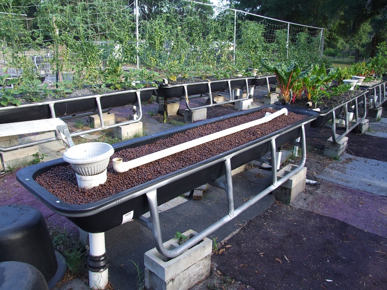 New Bed Installed22.jpg