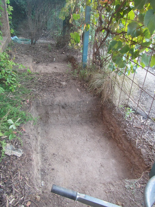 5 February 2015 - In the beginning.jpg