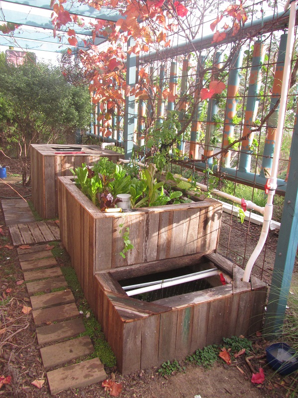 19 May 2015 - autumn leaves over the AP system.jpg