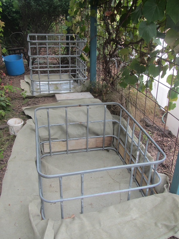 12 February 2015 - planting the cages.jpg