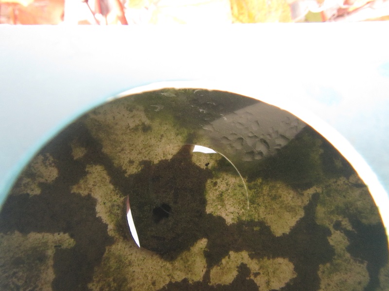 19 May 2015 - gunk in tower header pipe starting to block 13mm feeds to towers.jpg