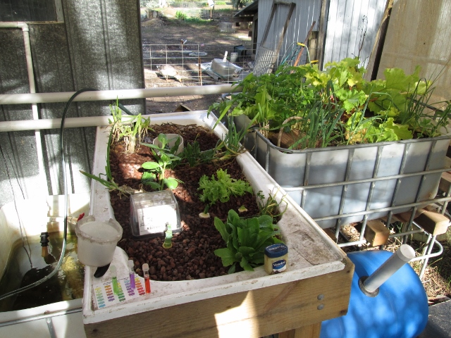 IMG_0149 (640x480).jpg