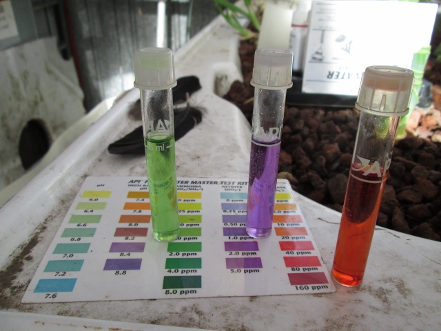 IMG_0148 (640x480).jpg