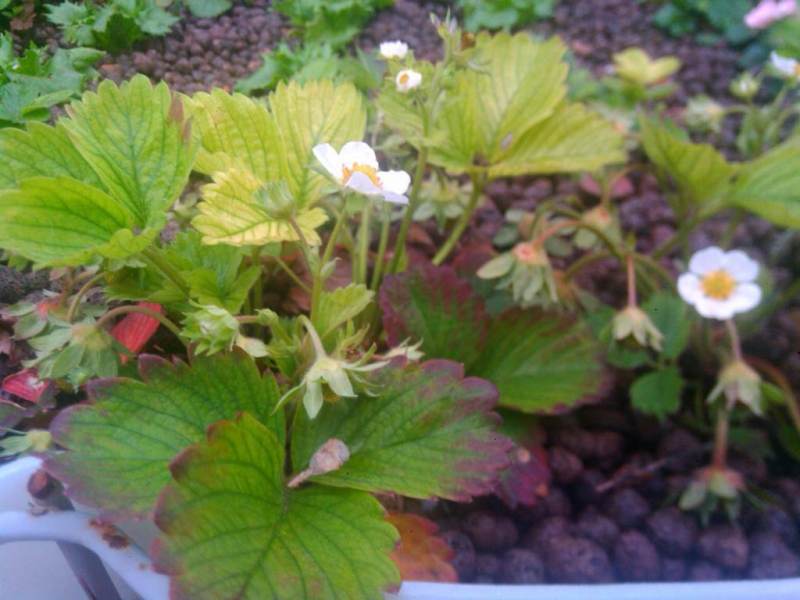 IMG_20150525_200016 (1).jpg