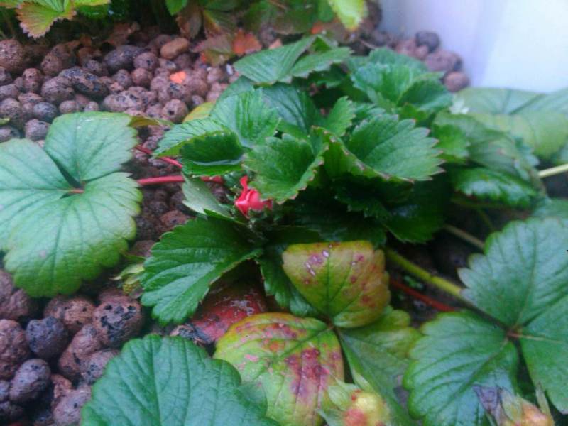 IMG_20150525_200036 (1).jpg