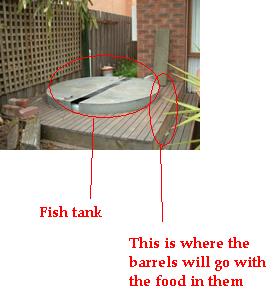 Greenhouse Fish' System 001.jpg