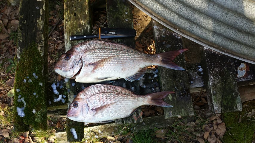 20150530_095952 (Small).jpeg