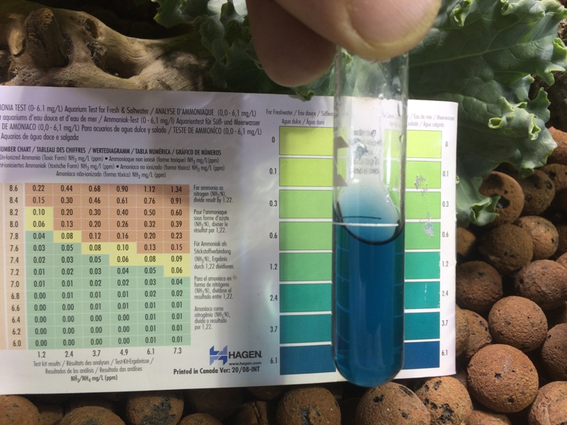 fish massacre 011.JPG