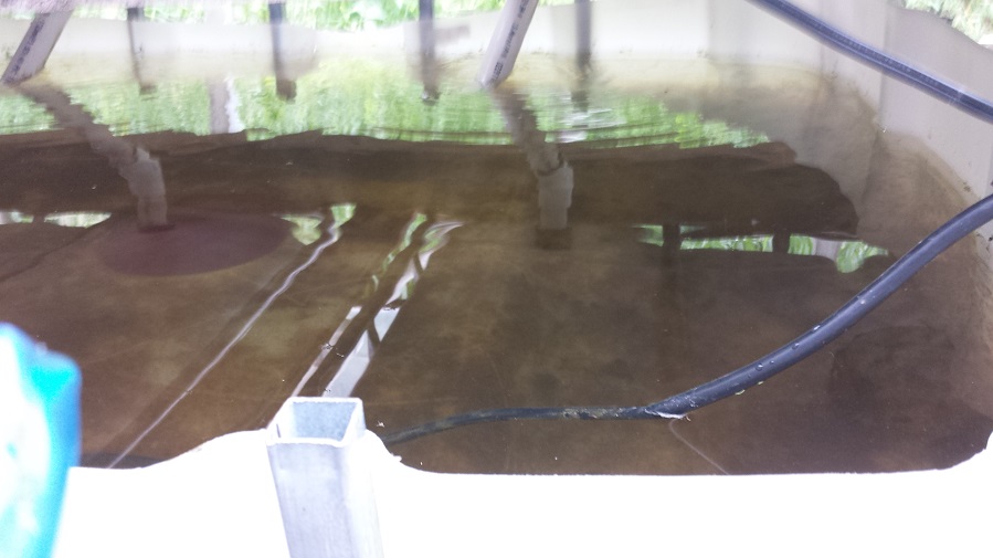 Aquaponics shiet 115.jpg