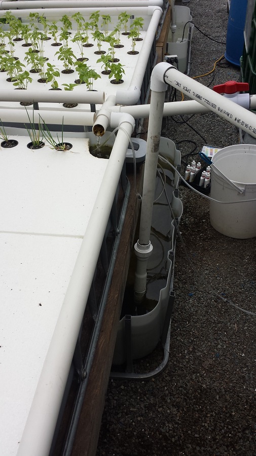 Aquaponics shiet 120.jpg