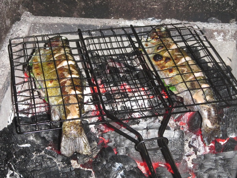 6 June 2015 - first harvest - grilled over coals.jpg