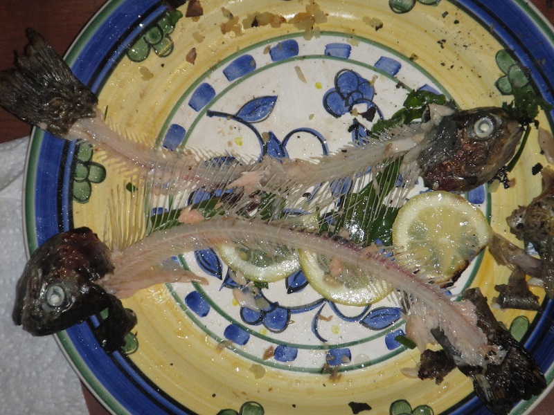 6 June 2015 - first harvest - leftovers.jpg