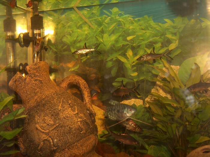 aqua-27-10-07- 007-700.jpg