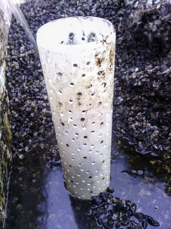 Media Guard modified.png