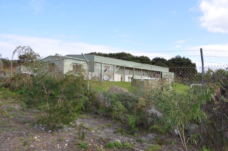 DSC_0037 (Custom).JPG