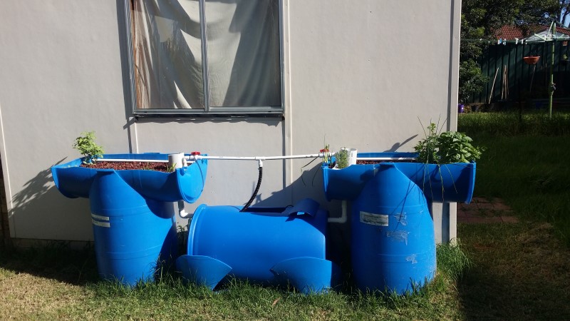 20150125_171950 (Custom).jpg