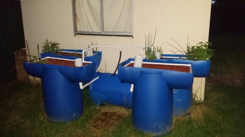 20150225_195418 (Custom).jpg