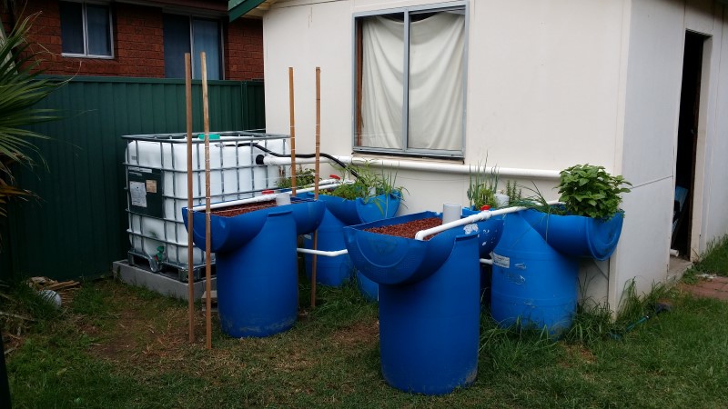 20150315_142558 (Custom).jpg