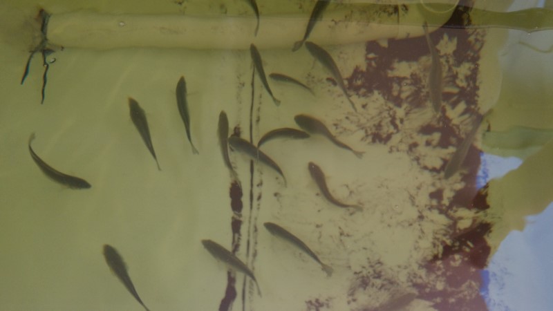 20150308_101834 (Custom).jpg