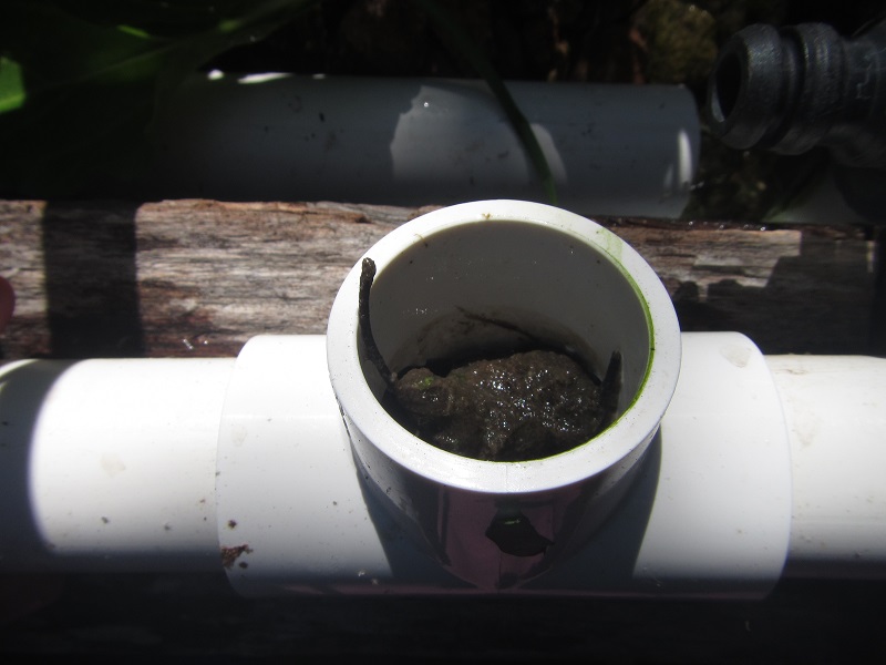 28 June 2015 - GB outlet T blocked with biofilm and  solids.jpg