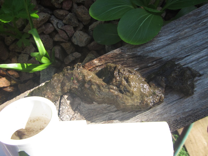 28 June 2015 - what came out of the GB outlet T.jpg