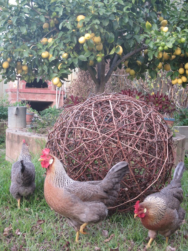 Large grapevine ball.jpg