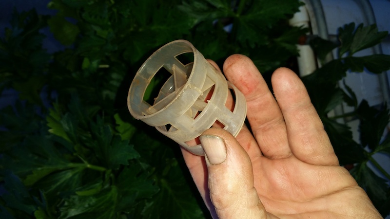 Media thing - oblique.jpg