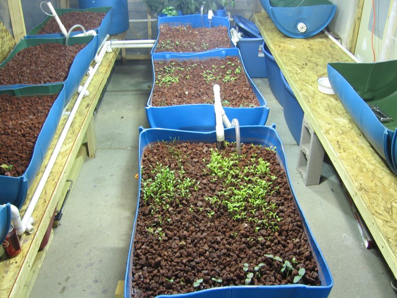 growbeds2.jpg