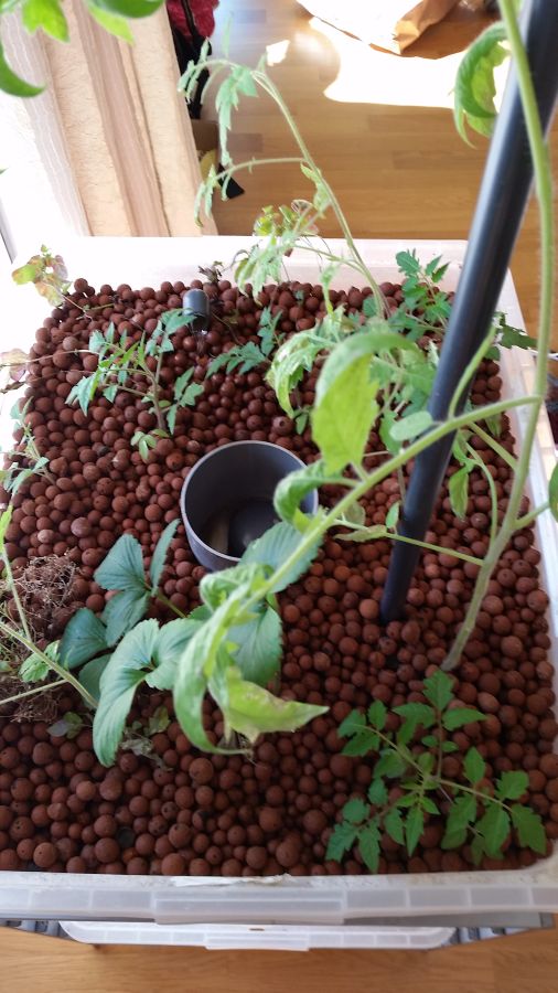 20150628_101559 small.jpg