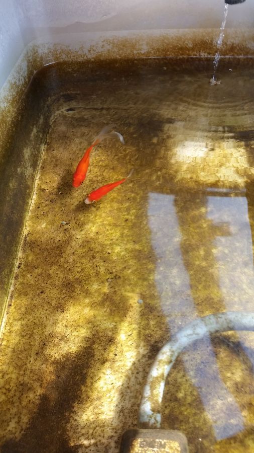 20150628_101756 small.jpg