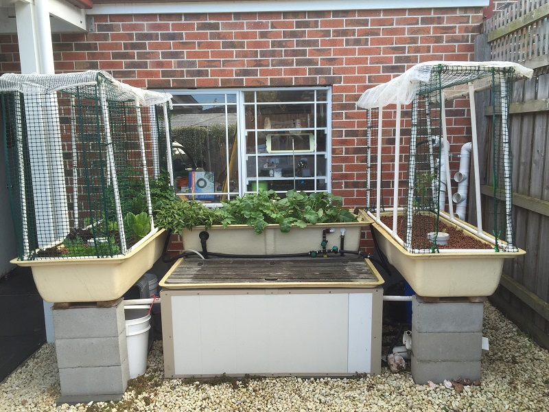 AP System 05_07_2015.jpg